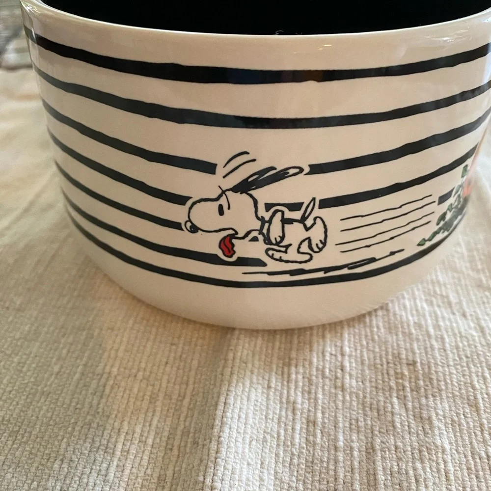 NWT Rae Dunn X Peanuts “SPOOKED POOCH” Soup size Mug